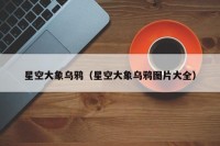 星空大象乌鸦（星空大象乌鸦图片大全）
