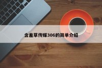 含羞草传媒306的简单介绍