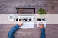 丁香花六天月天（丁香花吧）