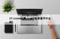 17.ccom起草（cn17起草是干什么的）