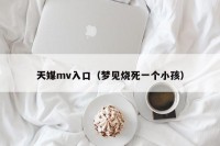 天媒mv入口（梦见烧死一个小孩）